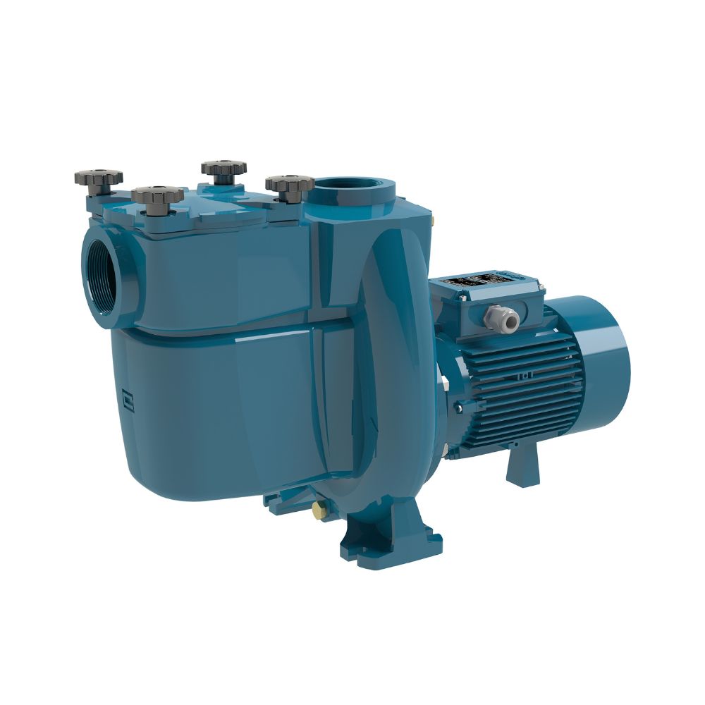 pompe-centrifughe-piscina-2